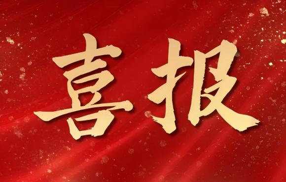 TOP 12！U8国际國禎榮登中國品牌價值 “其他服務類”